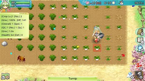 level 10 crops rune factory 4.